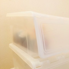 【急募‼️】使いやすいドア付き収納★4個セット クリアスモークの画像