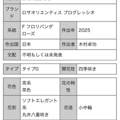 人気品種のバラつぼみ付き※がん腫の画像