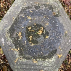 石灯籠　大の画像