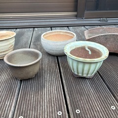 ミニ盆栽鉢の画像