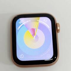 Apple Watch SE 第1世代/GPS/40mm/A2351/ゴールド〈MKQ03J/A〉 (5)の画像