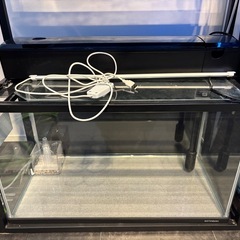 60cm水槽 2つセット　(台付き)の画像