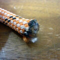 ☆訳あり EDELRID ザイル 2本セット 直径Φ8.2mm 長さ3.10m 登山用品 登山用ロープ 先端熱処理済み ロッククライミング エーデルリッド 札幌市 豊平区 平岸店の画像