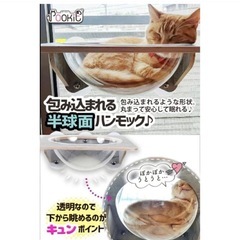 猫　スケルトンハンモック　キャットステップセットの画像