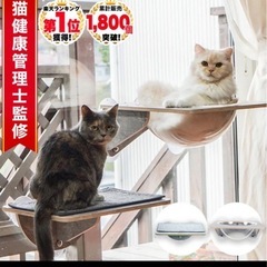 猫　スケルトンハンモック　キャットステップセットの画像
