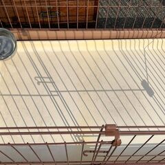 決まりました11.30リッチェル　ペット用ケージの画像