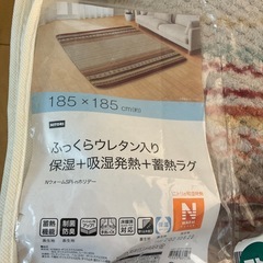 ニトリ　ラグの画像