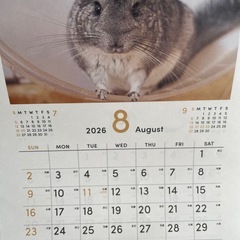 🩷2026 もふもふ動物カレンダー🩷の画像