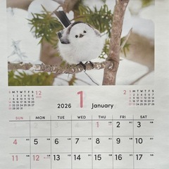 🩷2026 もふもふ動物カレンダー🩷の画像