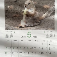 🩷2026 もふもふ動物カレンダー🩷の画像