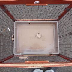  ペット ゲージ 柵 犬 猫　引き取りに来れる方募集の画像