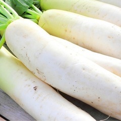 キャベツ白菜大根の画像