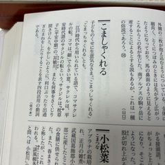 語源辞典の画像