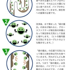 緑の魔女、キュットキュット食洗機洗い乾燥機専用洗剤の画像