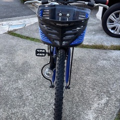 子供用自転車22インチ　ブリヂストンの画像
