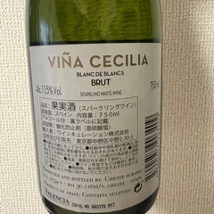 【未開封】スパークリングワイン　果実酒　750mlの画像