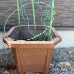 プランター5個　　支柱３本の画像