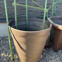 プランター5個　　支柱３本の画像