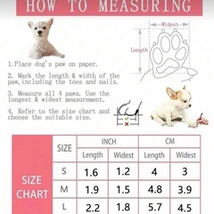 犬　レインブーツの画像