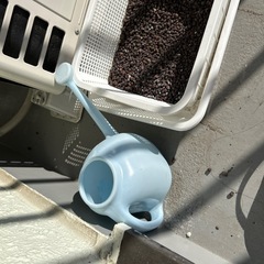 本日限り植木鉢などの画像