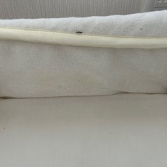 クーハン SNOOPYの画像