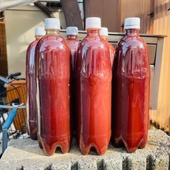 PSB 光合成細菌 メダカ めだか 餌の画像