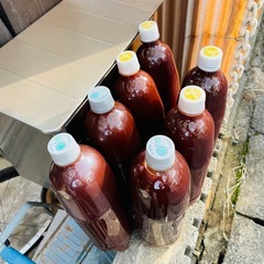 PSB 光合成細菌 メダカ めだか 餌の画像