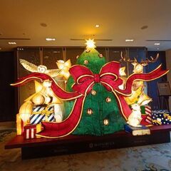 占い師チーム結成します