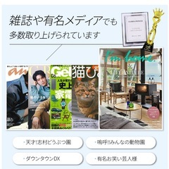 猫自動トイレの画像