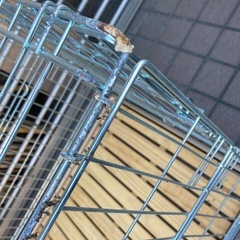 アイリスオーヤマ折りたたみペットケージ大の画像