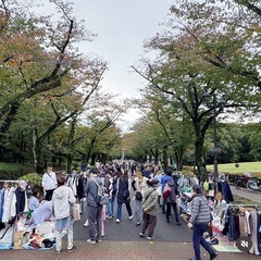 【1/17(土)】府中の森公園フリーマーケット