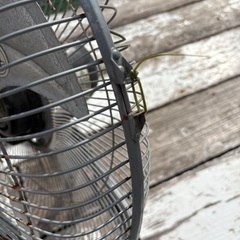 作業用扇風機の画像