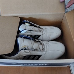 ゴルフバック、クラブ、靴の画像