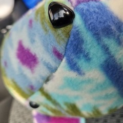 クマのぬいぐるみの画像