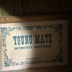 ギター　ジャパンビンテージの画像