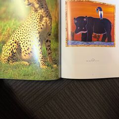 ムパタとその仲間たちの絵 図録  動物 アフリカ絵画の画像