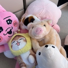 ぬいぐるみまとめての画像