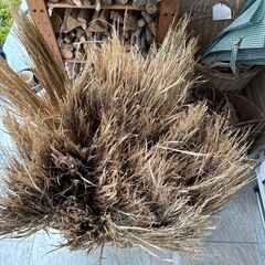 【決まりました】乾燥した藁の束貰ってくださいの画像