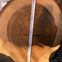 乾燥薪　クヌギ100%　1束10kgの画像