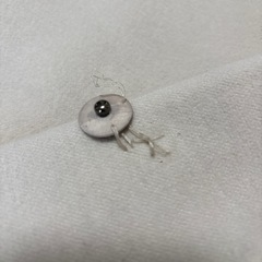 レディースフードコートの画像