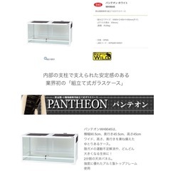 パンテオン9045　の画像