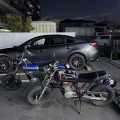 エイプ50の画像