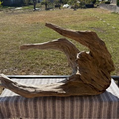 【激レア】大型　流木の画像