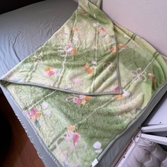 毛布 ダブルサイズの画像