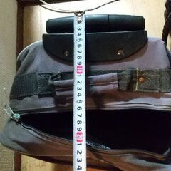 キャリーバッグの画像