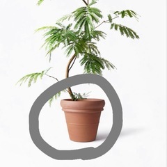 【HitoHana】植木鉢 トスカーナ 8号鉢の画像