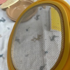 離乳食作りセット　エディオンの画像