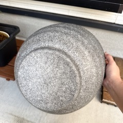 メダカ・金魚　【鉢プラスチック製】の画像