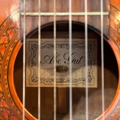 クラシックギター　Abe Gut 65A　ガットギターの画像