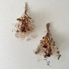 パンパスグラス　ドライフラワー　まとめ売り　インテリアの画像